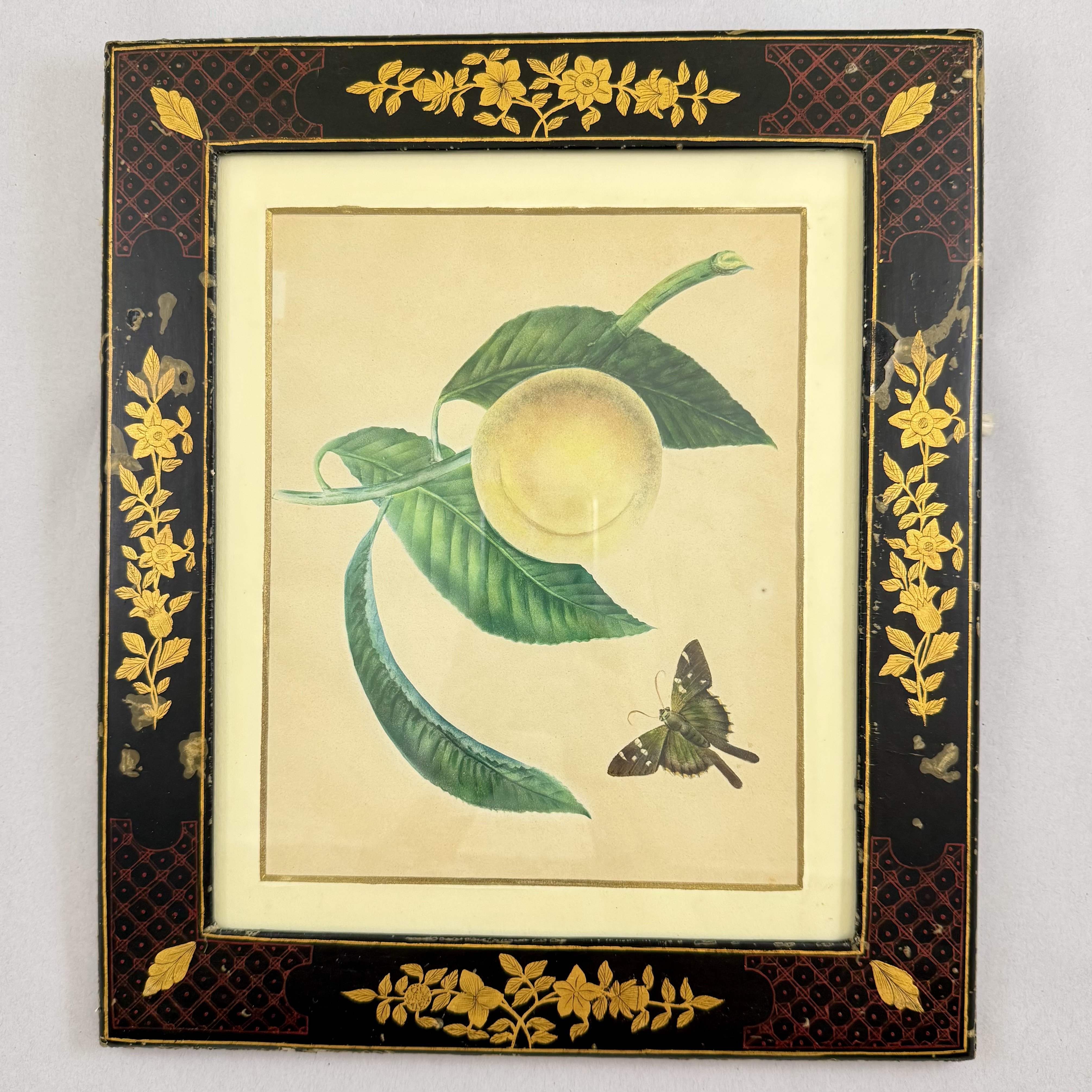 English Regency Period Watercolored Print in Hand Painted Lacquered Frame