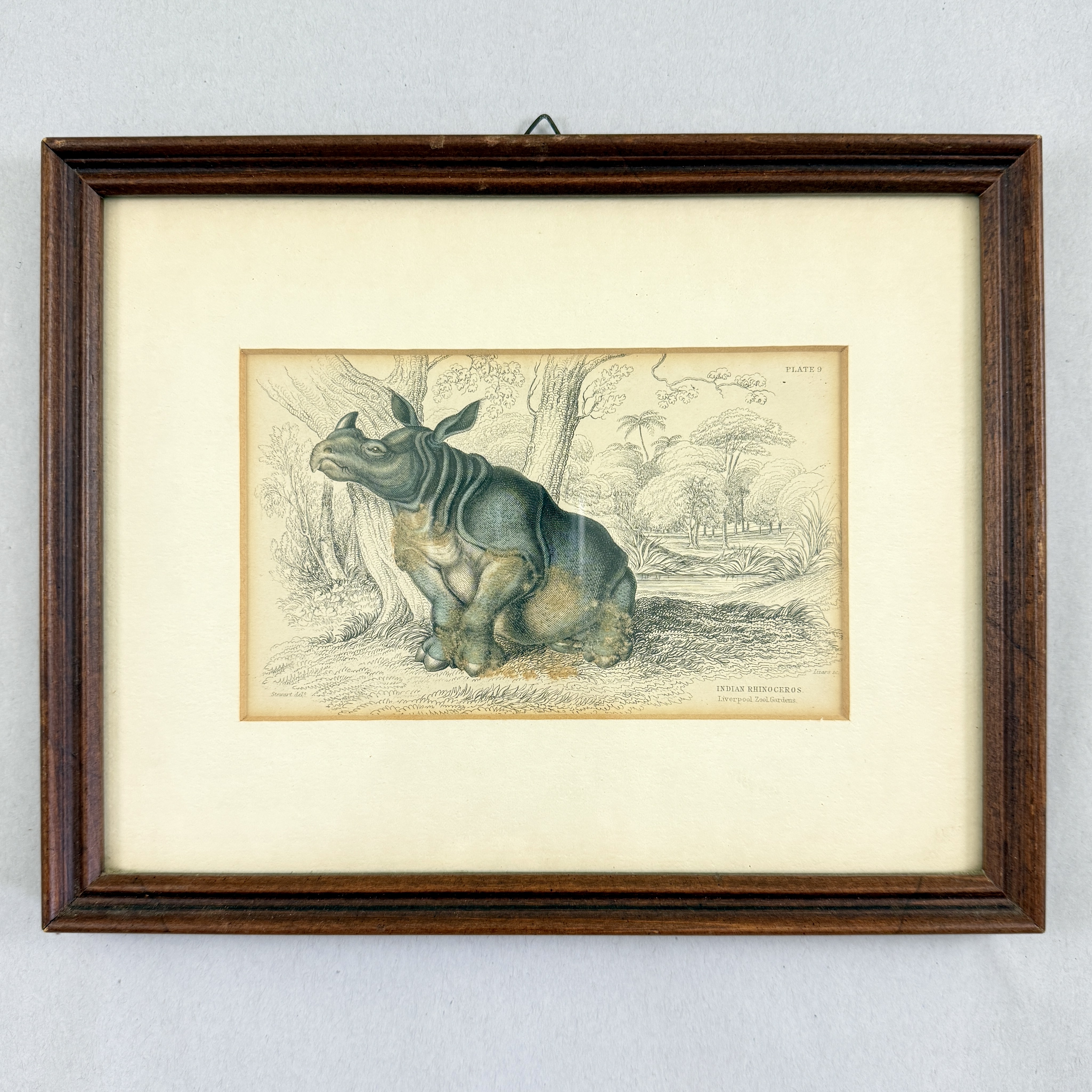 James Stewart Indian Rhinoceros Hand Colored Copper Engraving, Framed - 1836